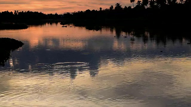 夕阳映照河面，鸟儿飞翔，大自然之美视频素材