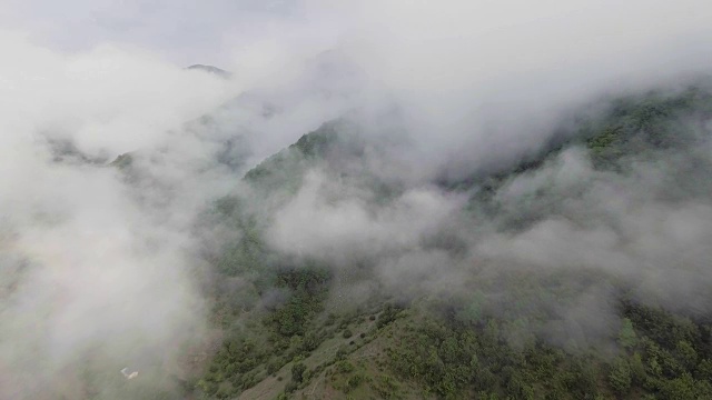 空中射击。飞越迷雾森林视频素材