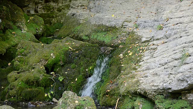 河水从山洞里流出来视频素材