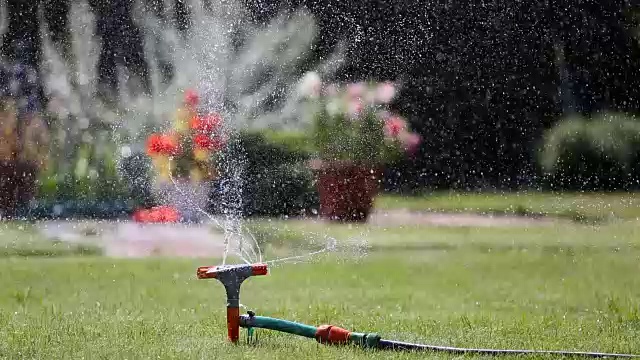 花园洒水器浇草和花视频素材