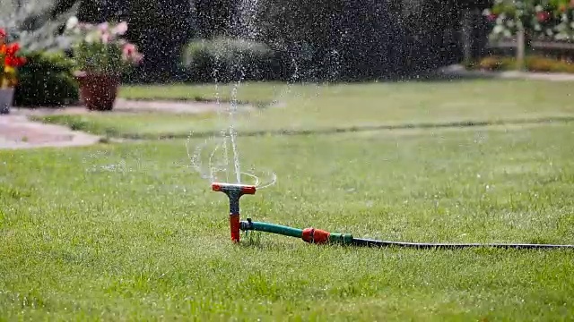 花园洒水器浇草和花视频素材