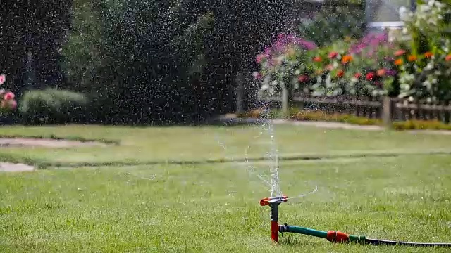 花园洒水器浇草和花视频素材