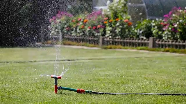 花园洒水器浇草和花视频素材