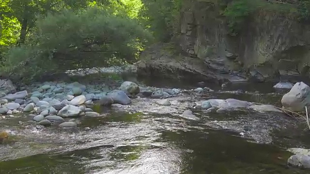 野山河，河岸长满了森林和岩石视频素材