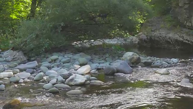 野山河，河岸长满了森林和岩石视频素材