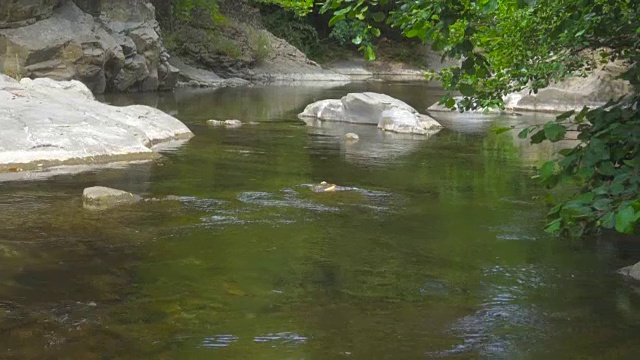 野山河，河岸长满了森林和岩石视频素材