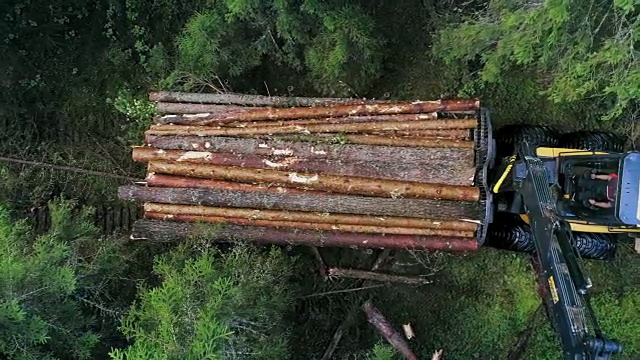 木材收集机正在森林中穿行视频素材