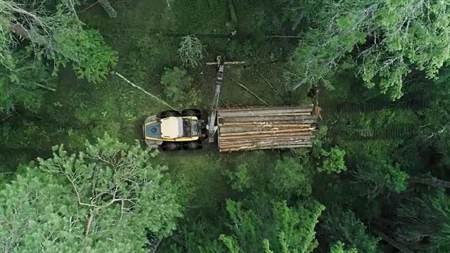 一台机器正在穿过森林，捡拾砍倒的树木视频素材