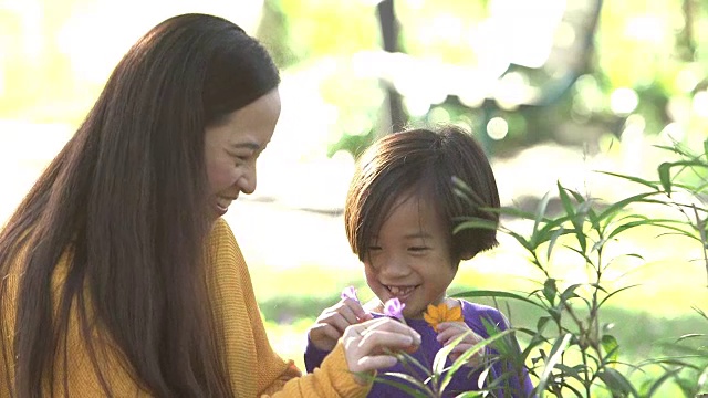 亚洲母亲，女儿走到花园，摘花视频素材