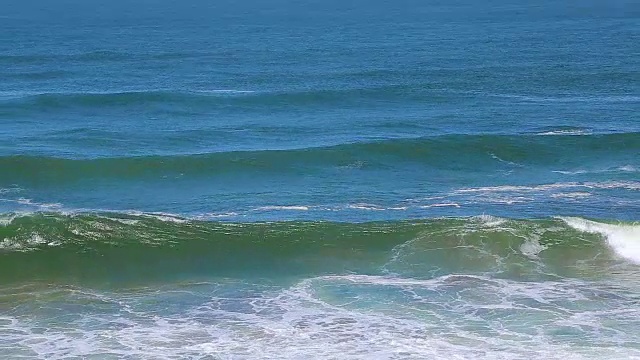 座头鲸在海浪中跳跃视频素材