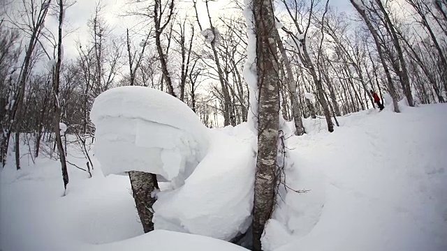 酷酷的专业滑雪板技巧手植物天然雪枕头-极限动作运动风格视频素材