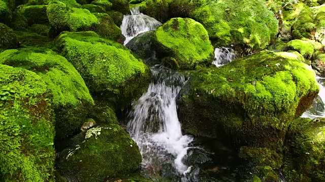 格里君河(格里君)的源头，索卡河的右支流，靠近博维茨，斯洛文尼亚视频素材