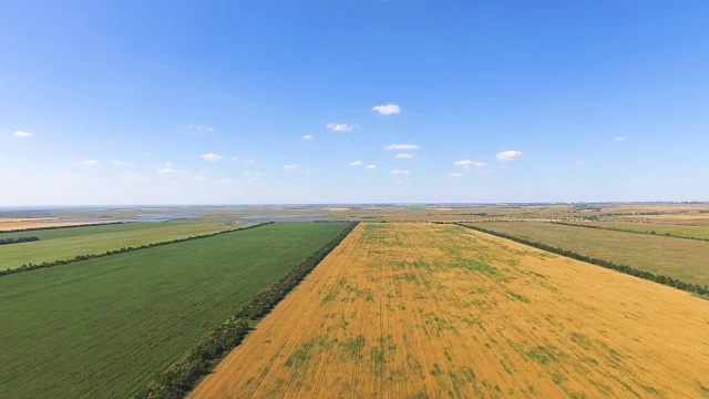 农田里有各种农业，航拍录像视频素材
