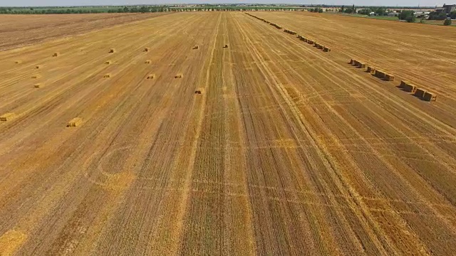 收割后堆放在麦田的干草堆上，航拍视频视频素材