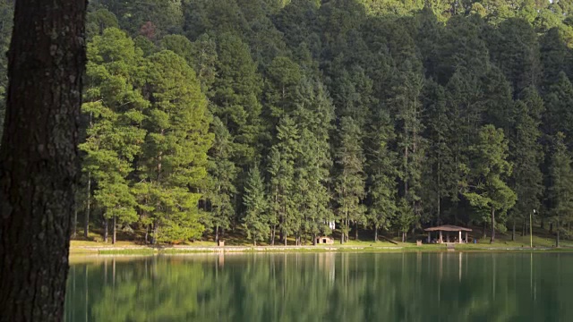 森林和湖泊的时间流逝视频素材