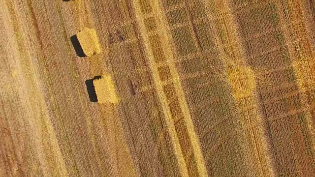 收割后，麦田里堆积的干草堆，航拍视频视频素材