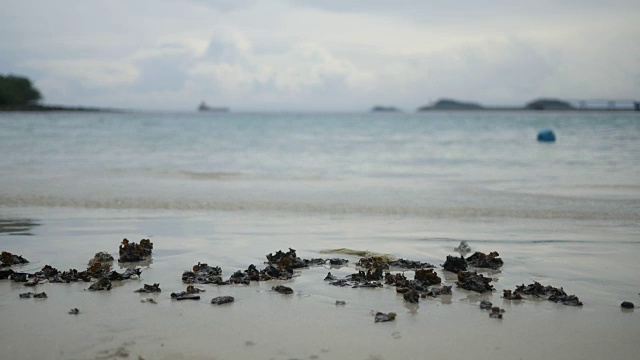 海滩上的波浪视频素材