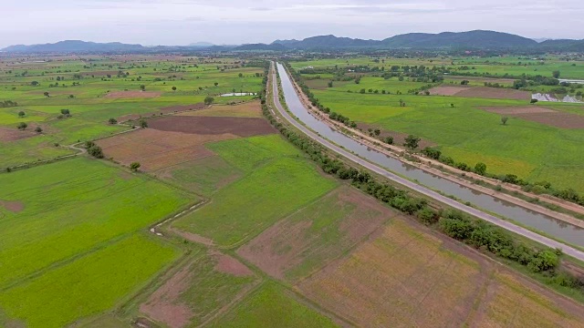 绿色稻田和灌溉水道鸟瞰图视频素材