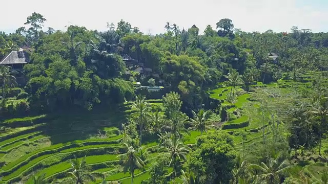 AERIAL:快乐的女孩在巴厘岛的豪华度假村的无边泳池里视频素材