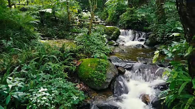 无人机航拍接近热带瀑布美丽的小溪流在泰国北部的雨林视频素材