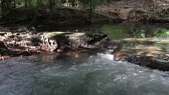 流过石头的小溪穿过热带森林视频素材