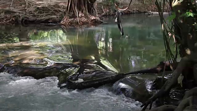 湍急的水流穿过森林视频素材