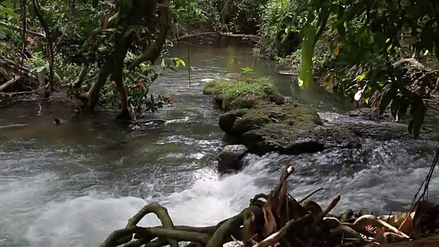 流过石头的小溪穿过热带森林视频素材