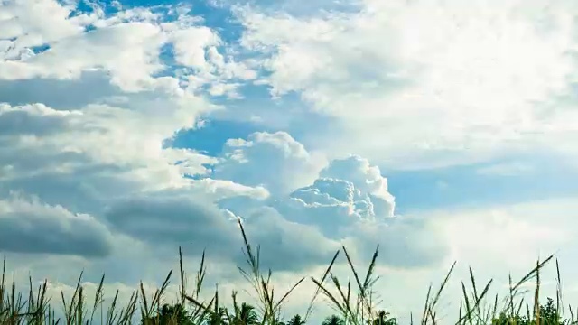 时间流逝:暴风雨的天空在风中吹着草视频素材