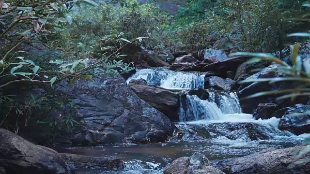 瀑布在森林视频素材