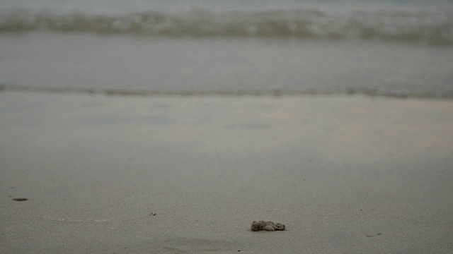 海滩上的波浪视频素材