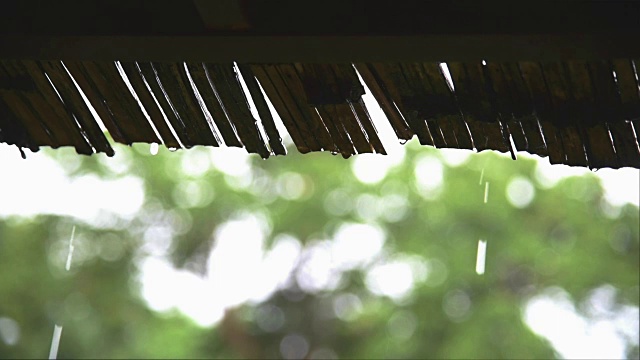 近距离镜头雨滴落在茅草屋顶上。视频素材