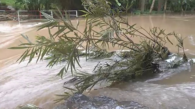 泰国热带雨林的突发洪水视频素材