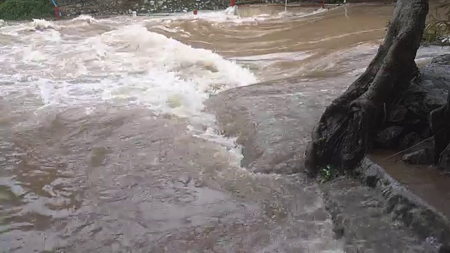 近距离观察热带雨林的山洪视频素材