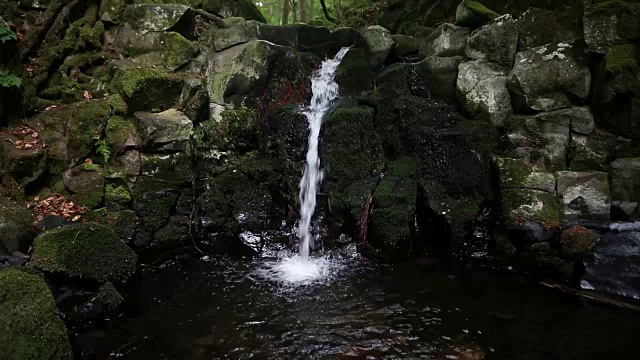 一个瀑布的特写和绿色苔藓的石头视频素材