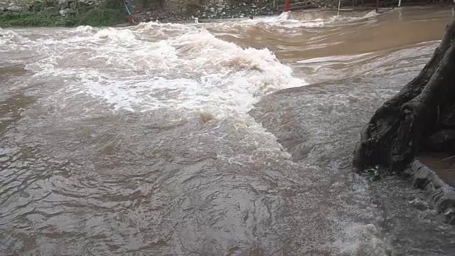 缓慢的倾斜拍摄了雨林的山洪视频素材