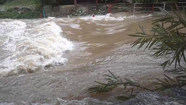 在热带雨林中用慢镜头拍摄山洪视频素材