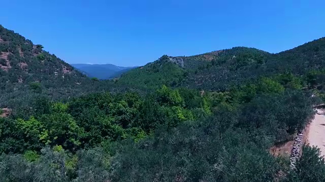 土耳其的艾达山-卡兹达格里。橄榄树的树枝和树叶在风中摆动。橄榄树在风中摇曳。高清1080p无人机镜头视频素材