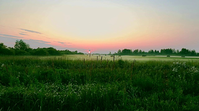 乡村景色是田野和在绿色的田野上收获的干草。把绿草。夕阳在地平线上。绿色的树和灌木丛。雾弥漫在草地上。雾蒙蒙的黄昏时草地上的稻草捆。视频素材