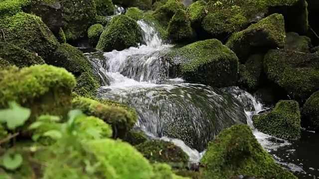 美丽的小溪，石头上覆盖着绿色的苔藓视频素材