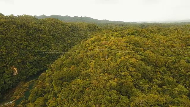 在菲律宾保和岛的丛林里的吸引人的滑索视频素材