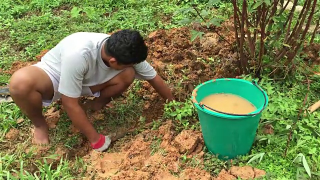 男人在花园里用铲子挖洞视频素材