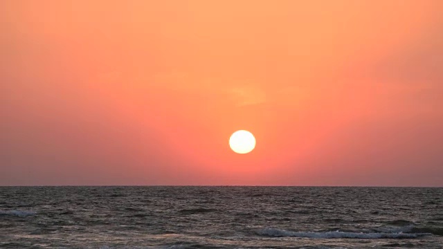 日出时海鸥在水面上飞翔视频素材