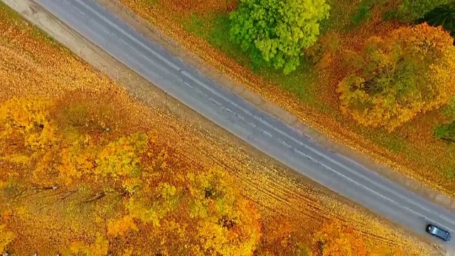 俯视图秋天森林道路和汽车。建筑物，城市和停车场无人机视图视频素材