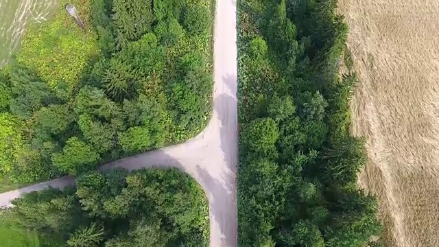 乡村道路和森林景观，鸟瞰图视频素材