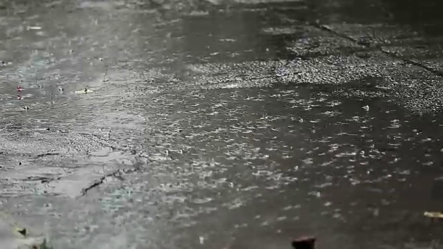 街上的雨视频素材