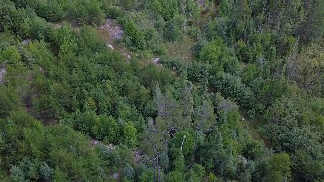 空中拍摄森林中的露天金矿视频下载