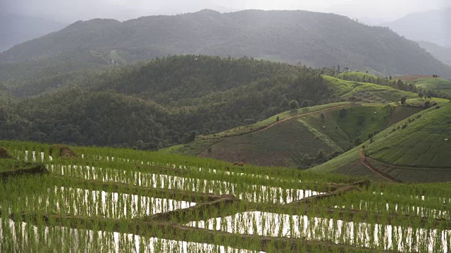 淘金:只羡山梯田视频素材