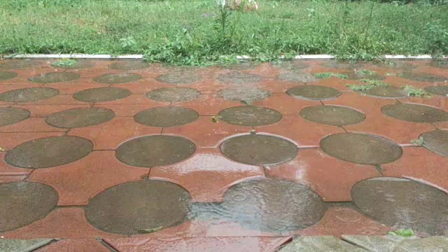 雨。视频素材