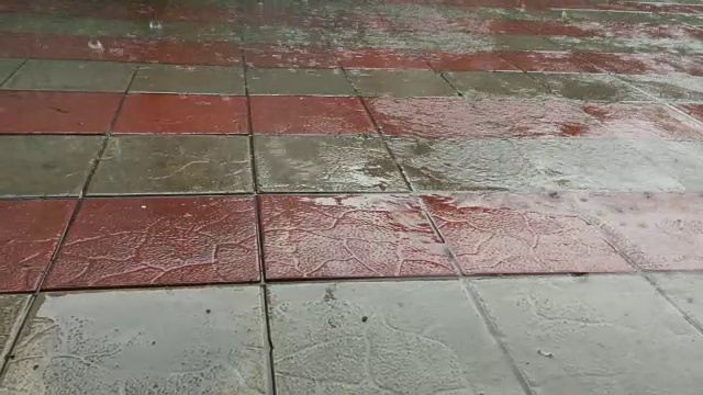 雨。视频素材