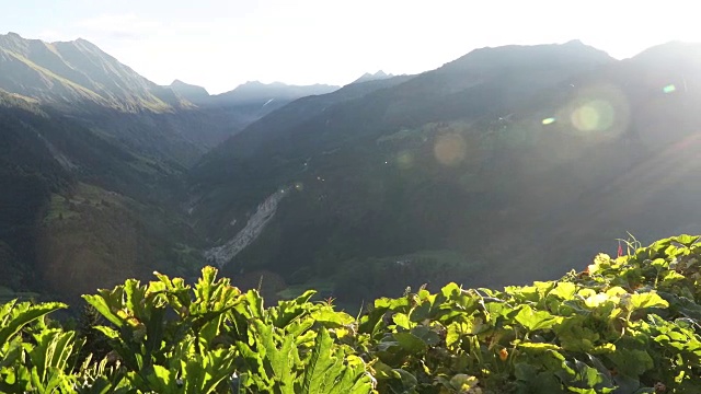 日出时的山野草甸，下面是山谷视频素材